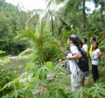 agroforestry project 08